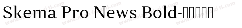 Skema Pro News Bold字体转换